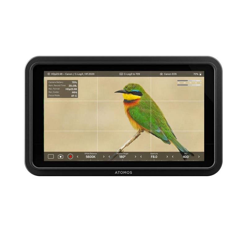 Foto 4 van Atomos Shinobi II Field Monitor