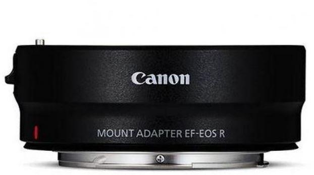 Foto 6 van Canon EOS R7 systeemcamera body met EF-EOS R adapter