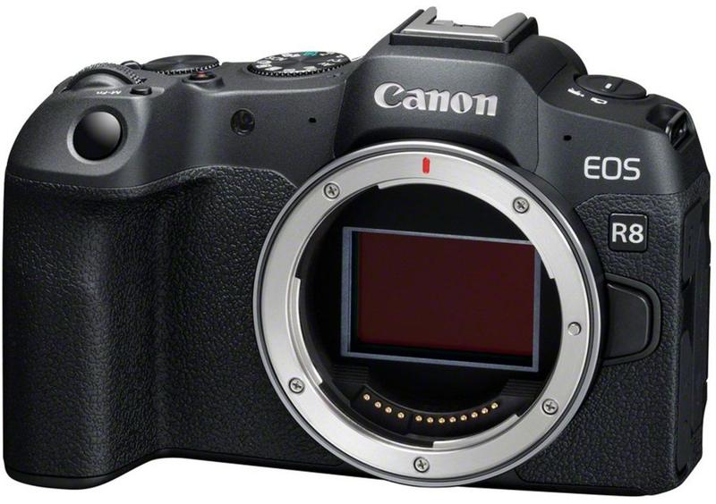 Foto 3 van Canon EOS R8 systeemcamera met RF 28-70mm f/2.8 IS STM objectief